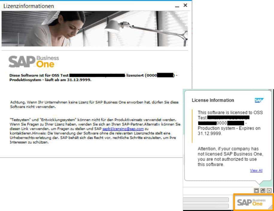SAP Business One Version 9.3 - Administration - Anpassung der Lizenzstruktur