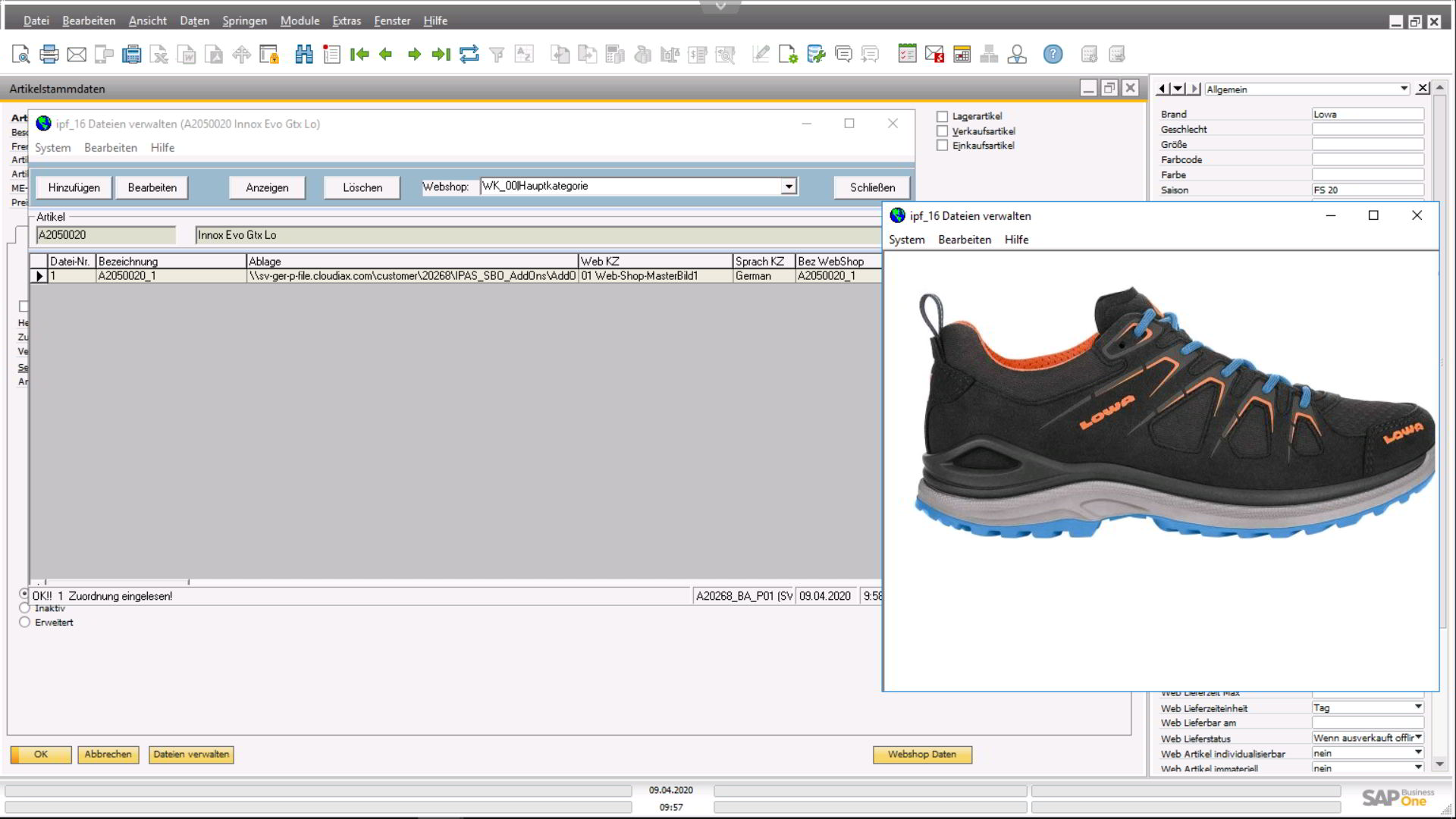 SAP-Business-One_E-Commerce_Vaterartikel_Bildverwaltung_1